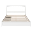 Roslyn King Platform Bed with Panel Footboard & 2 Storage Drawers in White