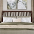 Roslyn King Platform Bed with Panel Footboard & 2 Storage Drawers in Walnut