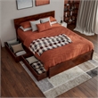 Wesley Full Wood Platform Bed with Panel Footboard and Storage Drawers in Walnut
