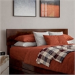 Wesley Full Wood Platform Bed with Panel Footboard and Storage Drawers in Walnut