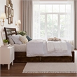 Emelie Full Wood Platform Bed with Panel Footboard and Storage Drawers in Walnut