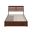Emelie Full Wood Platform Bed with Panel Footboard and Storage Drawers in Walnut