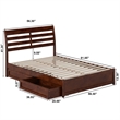 Emelie Full Wood Platform Bed with Panel Footboard and Storage Drawers in Walnut