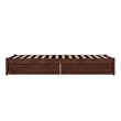 Barcelona Twin XL Solid Wood Panel Platform Bed with Storage Drawers in Walnut