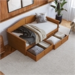 AFI Acadia Mid-Century Wood Twin Daybed with Set of 2 Drawers in Light Toffee