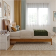 Portland Twin Solid Wood Foundation Bed in Light Toffee