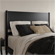 Pasadena Queen Wood Panel Headboard in Black