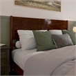 Pasadena King Solid Wood Panel Headboard in Walnut Brown