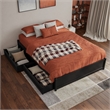 Barcelona Full Panel Platform Bed with 2 Storage Drawers in Black