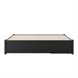 Barcelona Queen Panel Platform Bed with 2 Storage Drawers in Black