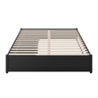 Barcelona Queen Panel Platform Bed with 2 Storage Drawers in Black