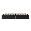 Barcelona Queen Panel Platform Bed with 2 Storage Drawers in Black