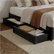 Barcelona King Panel Platform Bed with 2 Storage Drawers in Black