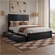 Aveline Full Platform Bed with Matching Footboard & Drawers in Black