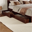 Aveline Queen Platform Bed with Matching Footboard & Drawers in Walnut