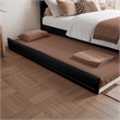 Aveline Twin XL Platform Bed with Matching Footboard & Twin XL Trundle in Black