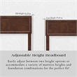 Ellarie Queen Solid Wood Platform Bed in Walnut