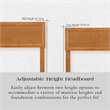 Ellarie Queen Wood Platform Bed in Light Toffee