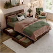 Norla Full Wood Platform Bed with Footboard and Drawers in Walnut