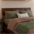 Norla Full Wood Platform Bed with Footboard and Drawers in Walnut