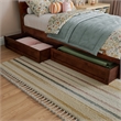Phoenix Twin Size Solid Wood Platform Bed with Drawers in Walnut