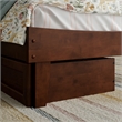 Phoenix Twin Size Solid Wood Platform Bed with Drawers in Walnut