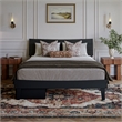Phoenix Queen Size Solid Wood Platform Bed with Drawers in Black