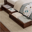 Denver Twin Wood Platform Bed with Storage Drawers in Walnut